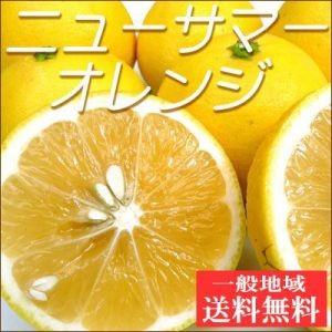 訳ありニューサマーオレンジ2kg【送料無料】小夏・日向夏・不揃い