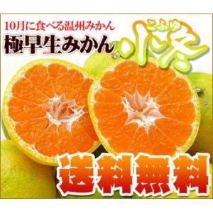 極早生みかん小冬3kg　送料無料　訳あり・不揃い　フルーツ 果物 旬 くだもの わけあり 食品 ワケ...