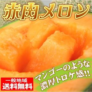 大豊作　赤肉メロン2玉入1箱　訳あり