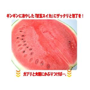 もぐもぐ 大玉すいか 1玉 約6kg〜7kg 訳あり【送料無料(一部地域除く)】不揃い 家庭用 スイカの日 西瓜 フルーツ 果物 くだもの