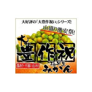 最安値に挑戦！極早生大豊作祝いみかん5ｋｇ　送料無料　訳あり　フルーツ 果物 旬 くだもの わけあり 食品 ワケあり ご家庭用 みかん 柑橘類 ミカン 産地直送