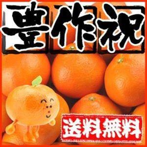 最安値に挑戦！大豊作祝い伊予柑10kg送料無料 2セット御購入でさらにお得！ 愛媛県産 伊予柑　いよかん