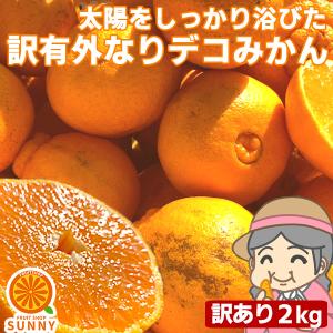 愛媛産 ご家庭用 農家さんもぐもぐ 外なり訳ありデコみかん 2kg(+約0.2kg多め) デコポン でこぽん 不揃い  フルーツ 果物 くだもの｜フルーツショップサニー