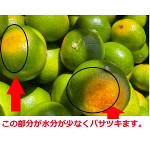 只今出荷中!特に訳ありハウスみかん7kg(+約...の詳細画像1