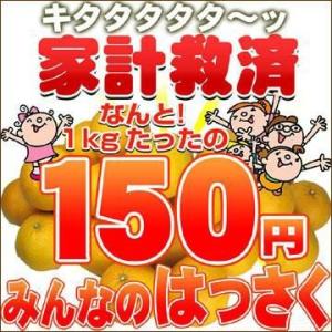 家計救済みんなの１５０円はっさく（訳あり・不選別）｜fruit-sunny