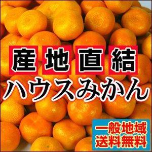 絶品！夏こそハウスみかん愛媛産　訳ありハウスみかん2ｋｇ【送料無料】　フルーツ 果物 旬 くだもの わけあり 食品 ワケあり ご家庭用 みかん 柑橘類 ミカン｜フルーツショップサニー