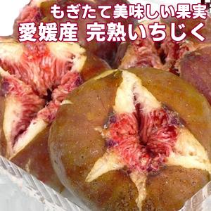 愛媛産 いちじく 約600ｇ(1パック約200g)×3パック 愛媛県産