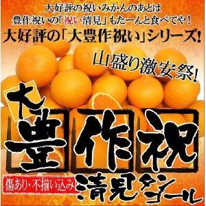 大豊作祝い清見タンゴール5kg 送料無料 訳あり ご自宅用 ご家庭用 きよみ わけあり フルーツ 果物 旬 くだもの 食品 みかん 蜜柑 柑橘類 産地直送 Iwaikiyomi5kg フルーツショップサニー 通販 Yahoo ショッピング