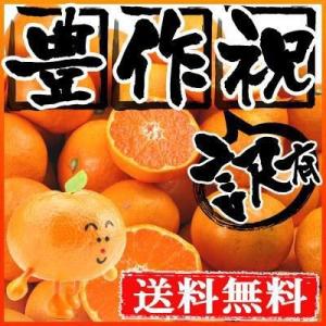 愛媛産　温州みかん20kg　送料無料 訳あり　フルーツ 果物 旬 くだもの わけあり ふぞろい 食品...