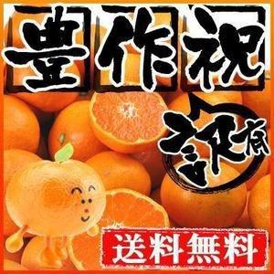 愛媛産　温州みかん5kg　送料無料　訳あり　フルーツ 果物 くだもの わけあり ふぞろい 食品 ワケ...