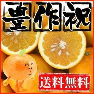 大豊作みしょうゴールド14kg【送料無料】和製グレープフルーツ 訳あり・不揃い ふぞろい 美生柑(別名 河内晩柑・宇和ゴールド) フルーツ 果物 くだもの みかん