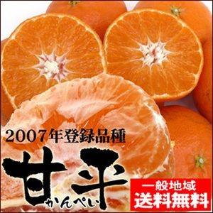 愛媛産 甘平(かんぺい)2kg 訳あり・不揃い 送料無料 愛媛県産 愛媛産 甘平(かんぺい)2kg 訳あり・不揃い 送料無料 愛媛県産