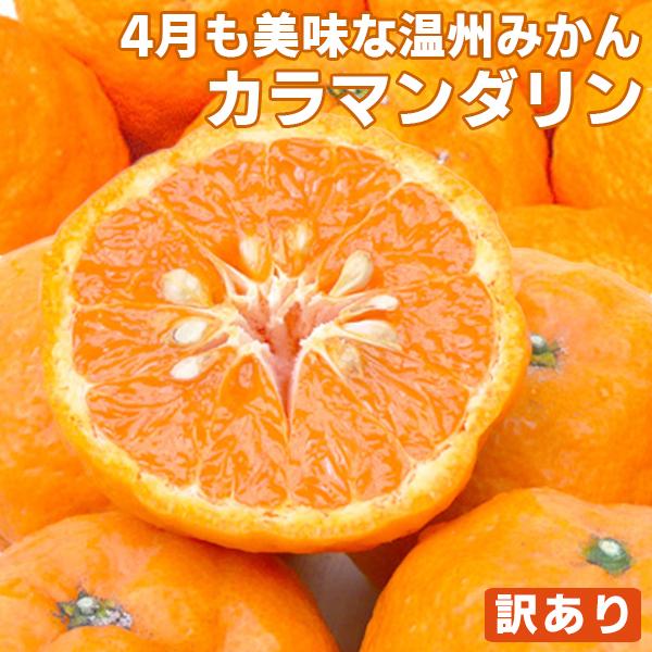 4月に食べれる温州みかん 5kg 送料無料 訳あり カラマンダリン なつみ 愛媛みかん フルーツ 果...