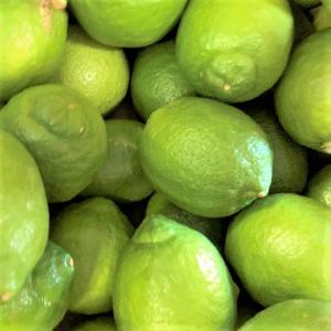 瀬戸内産 ハウス国産レモン 1kg 訳あり【2品で+1kg(3kgセット) 3品で+2kg(5kgセット)】送料無料 檸檬 防腐剤 防かび剤不使用 フルーツ 果物 くだもの 柑橘類