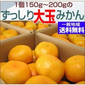 【規格外】訳あり大玉みかん2L・3Lサイズ20kg【送料無料】
