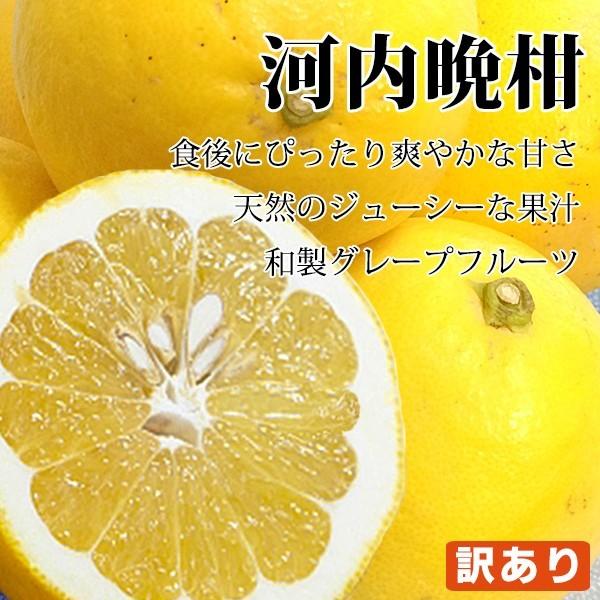 河内晩柑 訳あり 2kg 愛媛県産【2品で+2kg(６kgセット) 3品で+４kg(10kgセット)...