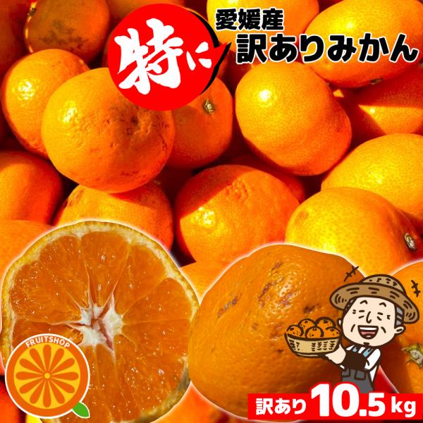 最安値に挑戦！特に訳ありみかん10kg(+約0.5kg)【送料無料】不揃い 傷 なつみ 極早生 愛媛...