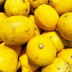 瀬戸内産 減農薬国産レモン 1kg【2品で+1...の詳細画像1