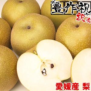 大豊作祝い梨 訳あり 2kg【2品で+2kg(6kgセット) 3品で+4kg(10kgセット)