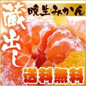 シーズン最終の温州！【訳あり】晩生（おくて）みかん5kg【送料無料】
