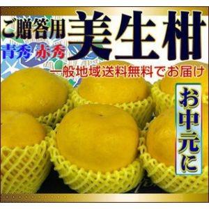 お中元用 みしょうかん 青秀 約4kg 送料無料 Otyumi4kgao フルーツショップサニー 通販 Yahoo ショッピング
