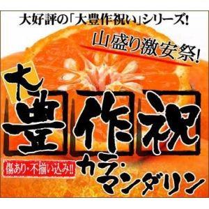 大豊作祝いのカラ・マンダリン5kg【訳あり】送料無料 4月温州みかん