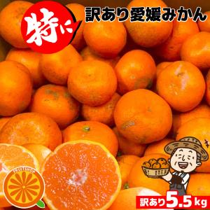 愛媛 真穴みかん規格外 10kg 大きさおまかせ 訳あり・ご家庭用 愛媛 真穴みかん規格外 10kg 大きさおまかせ 訳あり・ご家庭用