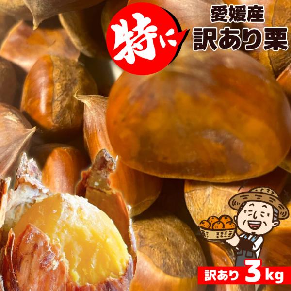 愛媛産 特に訳あり生栗  約3kg 送料無料 和栗 国産  なまぐり 食品ロス 栗ご飯 栗きんとん ...