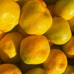 特に訳ありみかん3kg【送料無料】 傷 なつみ...の詳細画像2