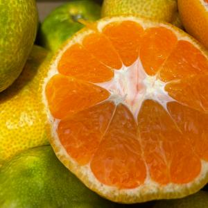 特に訳ありみかん3kg【送料無料】 傷 なつみ...の詳細画像3