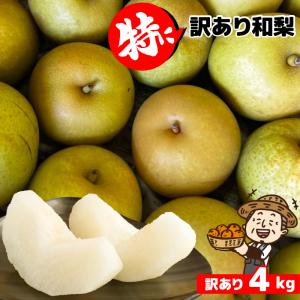 特に訳あり和梨4kg 箱込み 送料無料不ぞろい 不選別 なし 和梨 フルーツ 果物 くだもの わけあり 食品