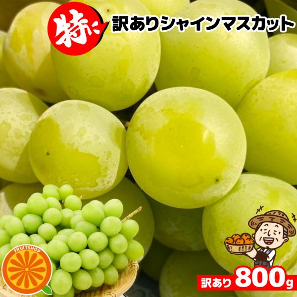 特に訳ありシャインマスカット 訳あり 約800g〜1kg(目安1〜4房) 2セットご購入で1箱おまけ...