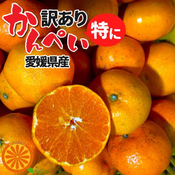 酸っぱうま〜い♪愛媛産 特に訳あり甘平 5kg(+約0.5kg多め)【送料無料(一部地域除く)】かん...