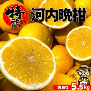 愛媛産 特に訳あり河内晩柑5kg(+約0.5kg多め)【送料無料】不揃い 傷 汚れ有 みしょうかん・グレープフルーツ 規格外品 愛媛県産 家庭用 フルーツ 果物