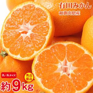 送料無料 有田みかん 和歌山県産  国産 和歌山みかん みかん 温州みかん サイズ 2L 3L 約9kg 秀品 優品 箱買い ご家庭用