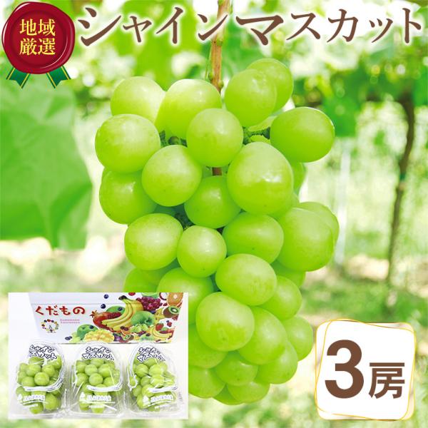 送料無料 地域厳選 シャインマスカット 3房 山梨県 福岡県 ご家庭用 マスカット ぶどう ギフト ...
