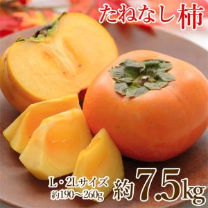 宮崎完熟マンゴー 宮崎マンゴー 完熟マンゴー マンゴー 大玉 3L 2玉