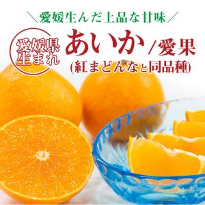 安心の自社検品 送料無料 愛媛県産 あいか 愛...の詳細画像2