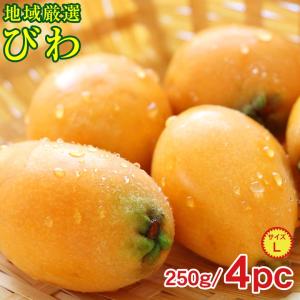 地域厳選 びわ ビワ 枇杷 L サイズ 250g × 4パック 国産
