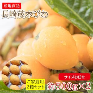 はるかみかん 2L 10キロ　長崎県産×2箱 楽天市場】【1月中旬から順次ご発送】【 はるか 2kg 】 送料無料 長崎