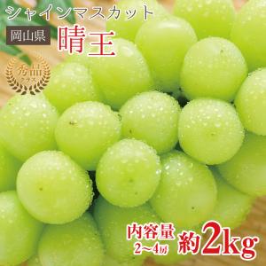 宮崎完熟マンゴー 宮崎マンゴー 完熟マンゴー マンゴー 大玉 3L 2玉