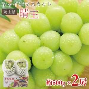 8月下旬より順次ご発送 送料無料 シャインマスカット 晴王 岡山県