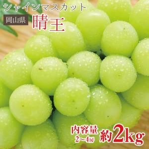 8月下旬より順次ご発送 送料無料 シャインマスカット 晴王 岡山県