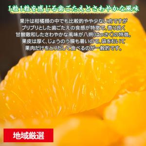 送料無料 地域厳選 みかん はっさく 八朔 約...の詳細画像2