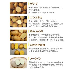 送料無料 訳あり 産地直送 長崎県産 じゃがい...の詳細画像2