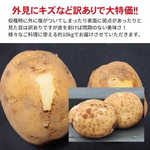 送料無料 訳あり 産地直送 長崎県産 じゃがい...の詳細画像3