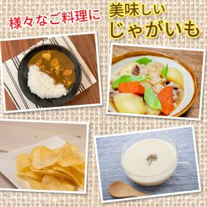 送料無料 訳あり 産地直送 長崎県産 じゃがい...の詳細画像4