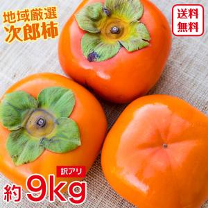 送料無料 地域厳選 三重県 愛知県 等 次郎柿 秋 柿 約 9kg 大きさおまかせ 大きさ おまかせ 訳あり ご家庭用 柿 カキ ご自宅用
