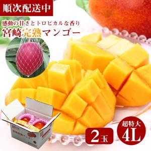 宮崎県産　宮崎完熟マンゴー1玉入り　3L　クール便発送 宮崎県産 宮崎完熟マンゴー1玉入り 3L クール便発送の通販 by