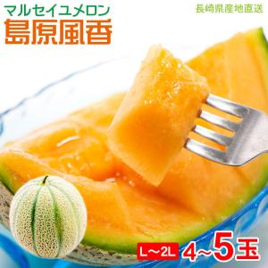 送料無料 花山椒 約100g 産地直送 奈良県産 奈良県 奈良 サンショウ